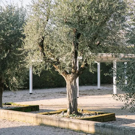 Apartment White Angel *